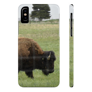 The American bison of Darby creek Slim Phone Cases