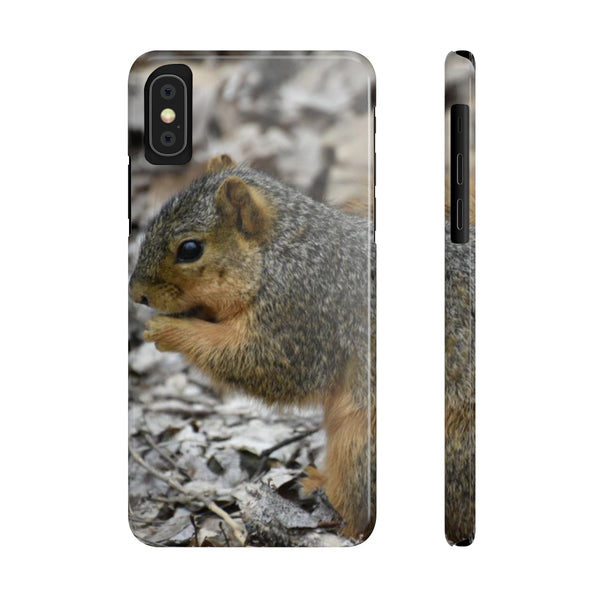 Friendly squirrel  Slim Phone Case