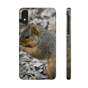 Friendly squirrel  Slim Phone Case