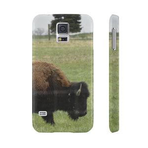 The American bison of Darby creek Slim Phone Cases