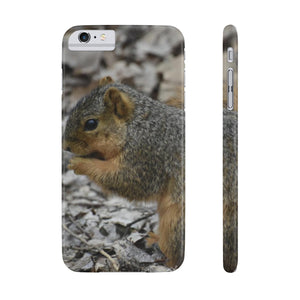 Friendly squirrel  Slim Phone Case