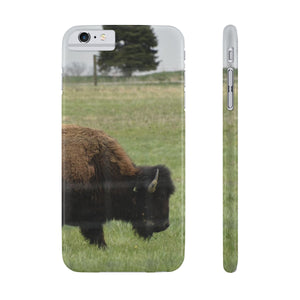 The American bison of Darby creek Slim Phone Cases