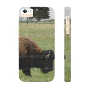 The American bison of Darby creek Slim Phone Cases