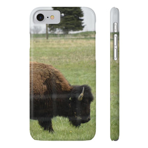 The American bison of Darby creek Slim Phone Cases