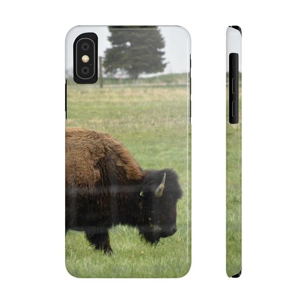 The American bison of Darby creek Slim Phone Cases